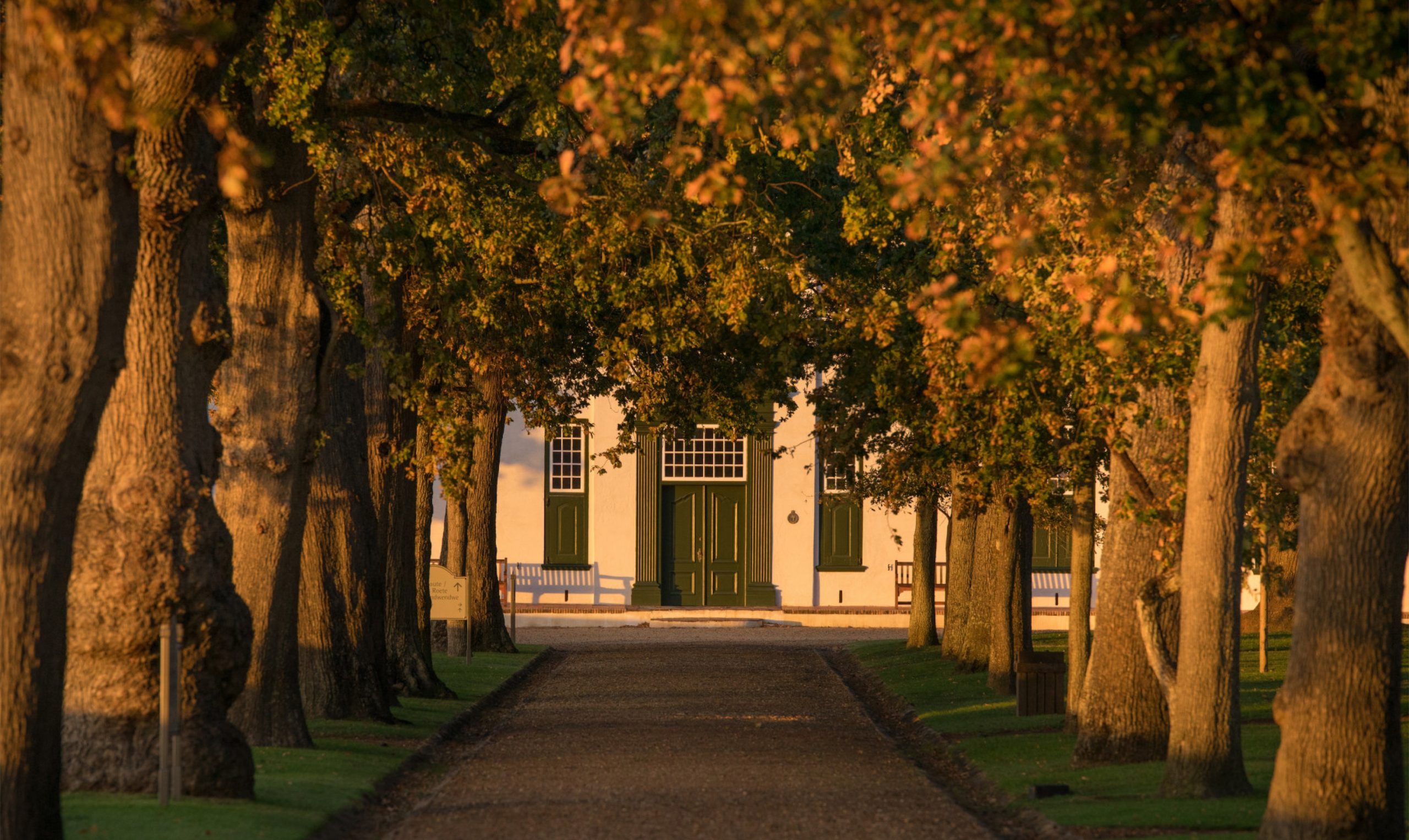 Read more about the article Groot Constantia appoints Achieve as e-commerce & digital strategy consultants.